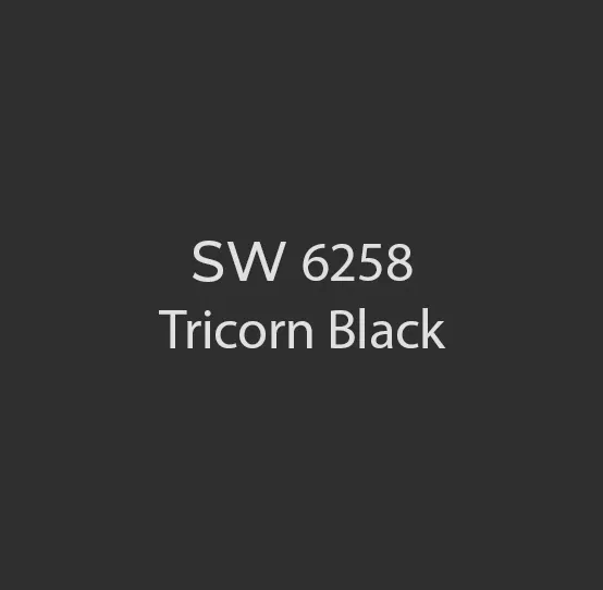 Tricorn Black - Sherwin Williams Cabinet Refinishing in Dayton